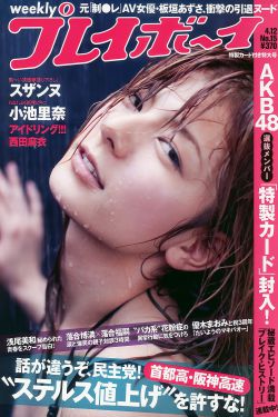 スザンヌ 西田麻衣 AKB48 小池裏奈 永池南津子 [Weekly Playboy] 2010年No.15 寫真雜誌